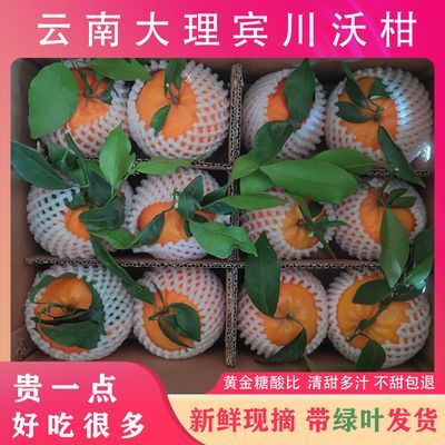 云南大理宾川沃柑桔子现摘现发孕妇新鲜水果脆甜多汁当季精品大果