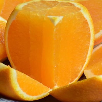 七公主果园橙子应季新鲜水果秭归脐橙现摘现发伦晚夏橙纽荷尔