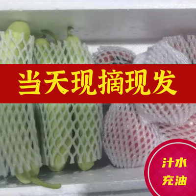 新鲜蔬菜组合海阳白玉黄瓜普罗旺斯西红柿水果黄瓜双拼5斤整箱