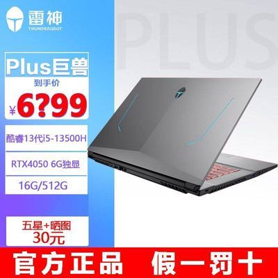 雷神911PLUS 13代i5-13500H/RTX4050 17.3游戏本笔记本电脑240Hz
