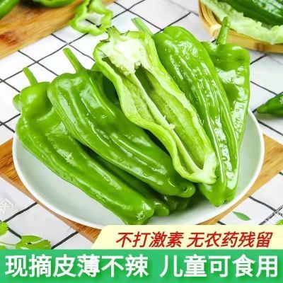 【高品质】5斤辣椒新鲜尖椒青辣椒虎皮青椒应季蔬菜新鲜辣椒
