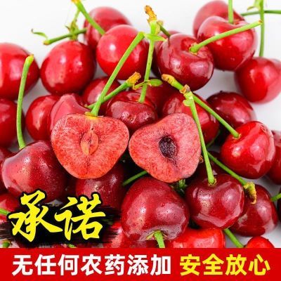 【冷链到】头茬山东露天樱桃新鲜红灯带箱1/3/5斤整箱批发品牌