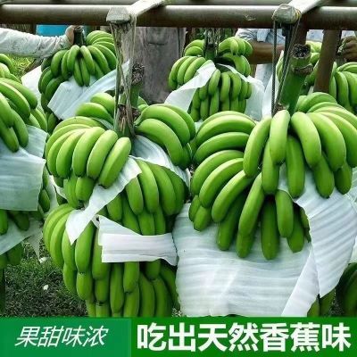【高品质】5/9斤正宗云南高山香蕉新鲜水果整箱批发非小米蕉芭蕉