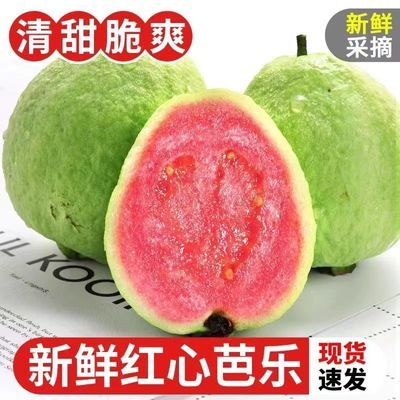 【高品质】整箱 3/5斤广西软心红心番石榴新鲜水果软芭乐红软糯