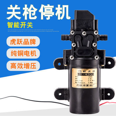 电动喷雾器水泵电机12V伏农用隔膜高压自吸洗车抽水5.0L大