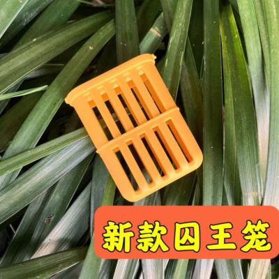 蜂具养蜂工具多功能囚王笼新款塑料王笼介王神器邮寄蜂王神器防逃