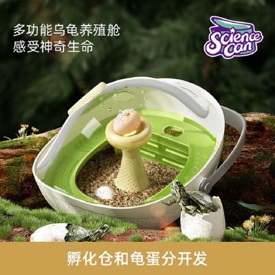 科学罐头乌龟专用缸孵化舱水陆两用养动物器材小学生实验蛋分开发