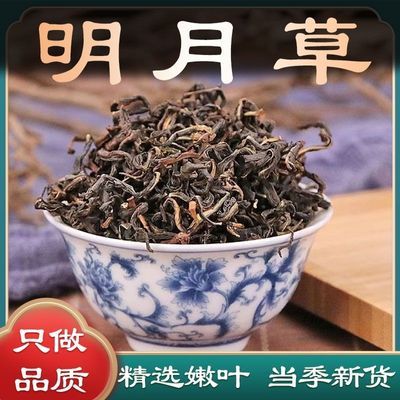 明月草中药材白背三七明月茶明月叶白背菜白子菜明日鸡毛菜散装