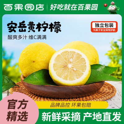 【百果园店】四川安岳新鲜黄柠檬鲜果当季水果3/5斤整箱包邮