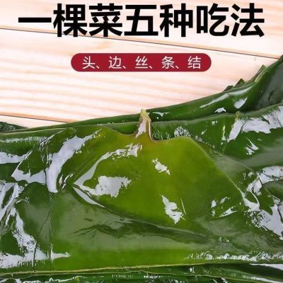 新鲜盐渍整颗海带包饭海带头边丝非干货火锅麻辣烫食材批发