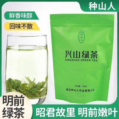 2026兴山昭君绿茶炒青二级湖北兴山特产