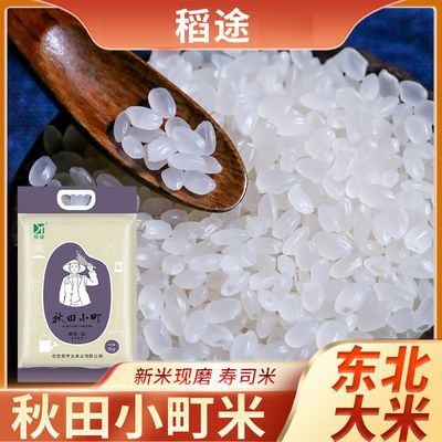 秋田小町大米寿司米专用米10斤东北大米5kg新米饭香软糯批发