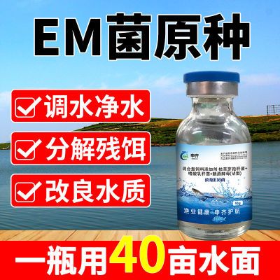 em菌原种em菌浓缩粉em菌种芽孢杆菌水产养殖em发酵菌调水净水肥水