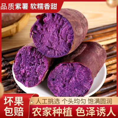 【高品质紫薯】5/9斤新鲜沙地紫薯番薯粉糯香甜板栗红薯地瓜批发