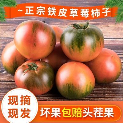 【顺丰极速达】丹东铁皮柿子西红柿草莓柿子新鲜水果生吃绿腚番茄