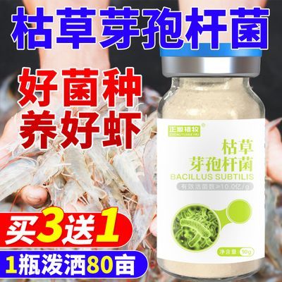 枯草芽孢杆菌原种肥水产养殖微生物菌剂净化水质降解氨氮抑制病害