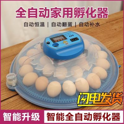 全自动小飞碟孵化器芦丁鸡孵化箱小型家用孵蛋器鸡鸭鹅智能孵化器