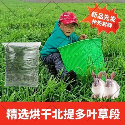 24年岷县草厂兔子龙猫豚鼠食用干草饲料特级烘干提摩西包邮