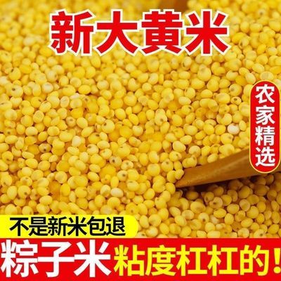 正宗东北大黄米粘米新米黍米糯小米黏米粥特产粽子米年糕2023清仓
