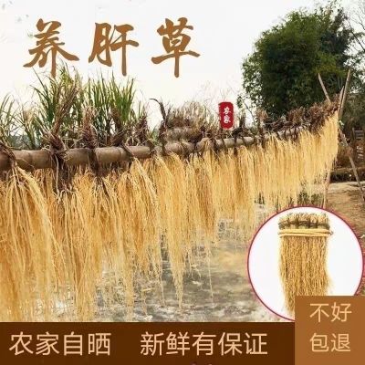 粤北原生态养肝草丝线根旺果酒店开胃食材护肝优质龙须草煲汤料包