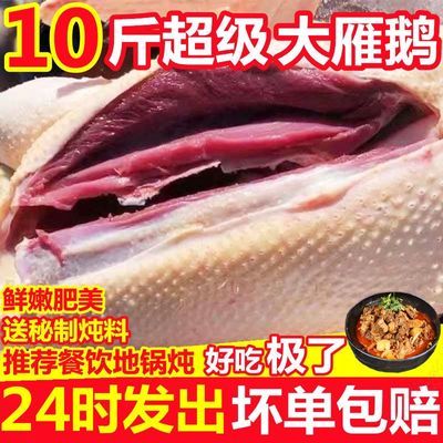 【批发价】10斤整只鹅新鲜现杀鹅散养鹅老鹅雁鹅大白鹅肉坏单包赔