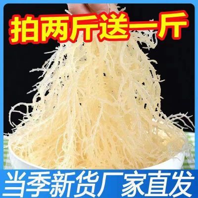 龙须菜海石花菜鹿角菜盐干商用批发长寿菜麒麟菜非全干无盐凉拌菜