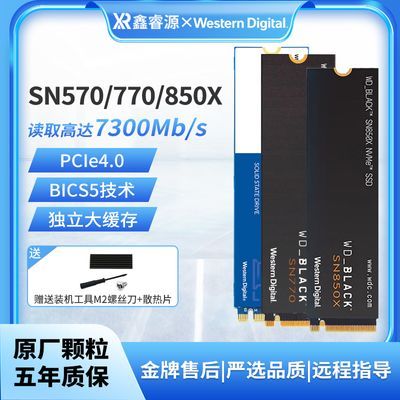  SN770 500G  SN570 1T 2T  M.2 NVME SSD ̬Ӳ