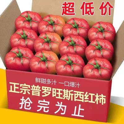 山东普罗旺斯西红柿新鲜沙瓤大番茄现摘粉柿子水果可生吃2/5斤装