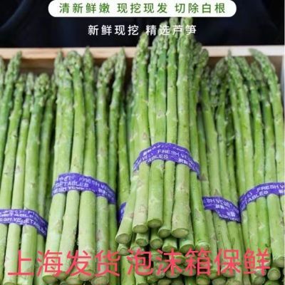 上海崇明岛芦笋嫩笋当天采摘发货 新鲜 减脂嫩笋无农药农家自种