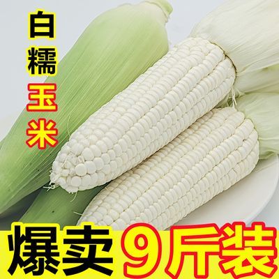 重庆农家自种糯玉米新鲜白糯玉米当季时令苞谷棒子爆浆甜玉米包谷