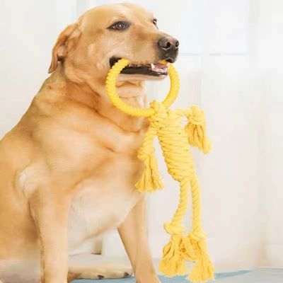 宠物狗狗玩具耐咬磨牙解闷耐咬绳结咬绳金毛萨摩拉布拉多大狗玩具