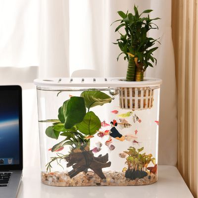 SQG金鱼缸家用小型生态鱼缸高清透明塑料有盖办公桌椭圆形水族箱