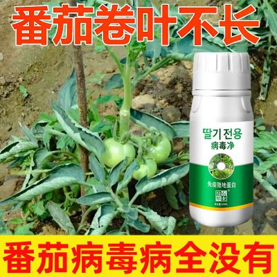 番茄杀菌剂西红柿卷叶杀菌剂病毒病专用药卷叶病药花叶曲叶