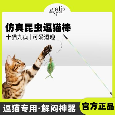 afp高端逗猫棒挂门猫咪玩具仿真昆虫自嗨电动智能解闷神器可充电