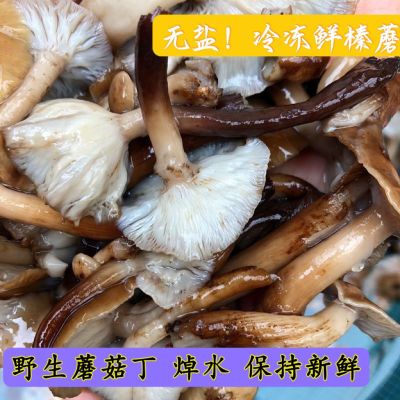 东北特产纯新鲜焯水冷冻榛蘑质量保证手工挑选无根原生态