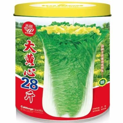 大黄心28斤大白菜种子敞棵大白菜种子腌酸菜冬储优质蔬菜种籽包邮