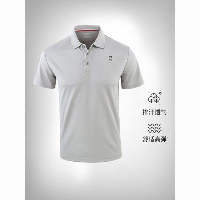 ڲ 3MƼٸpolo͸T62.5Ԫ