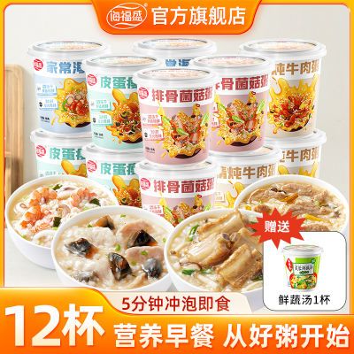 海福盛速食粥营养早餐粥免煮冲泡即食品方便速食皮蛋瘦肉粥12杯