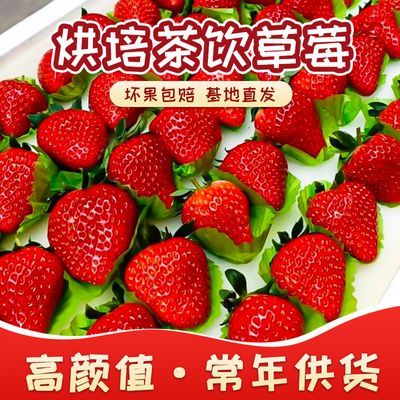 本店畅销】现摘夏季新鲜酸草莓草莓应季水果一整箱包邮奶茶店烘焙