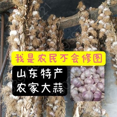 山东特产紫皮大蒜干蒜头煲汤凉拌用2024新蒜头农家自种现货速