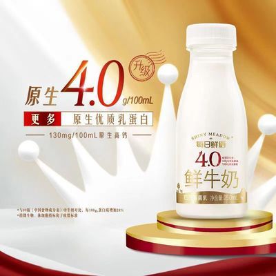 每日鲜语4.0低温超市版鲜牛奶250克*6瓶巴氏杀菌鲜奶瓶装