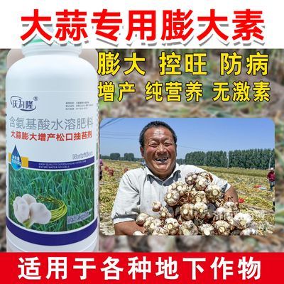 大蒜膨大剂膨大大蒜专用肥增产专用大蒜膨大叶面肥膨大素包邮