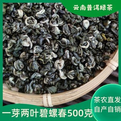 一芽二叶云南碧螺春绿茶茶叶2023明前头春新茶浓香耐泡型普洱绿茶