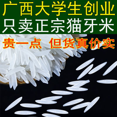 【只卖正宗猫牙米】2023年新大米广西超长生态象牙米晚稻一级香米