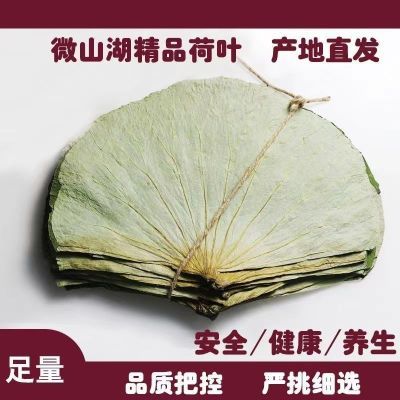 荷叶整张荷叶荷叶茶荷叶片干荷叶糯米鸡荷叶鸡荷叶饭荷叶整张批发