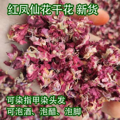 指甲花粉染头发染指甲红色白色凤仙花干花瓣花粉纯植物染发无添加