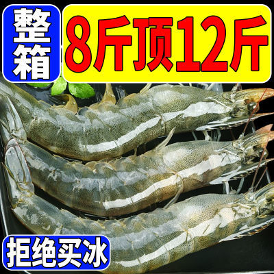 【超大号大虾】整箱青岛大虾新鲜海虾冷冻鲜活水产对虾大白虾批发