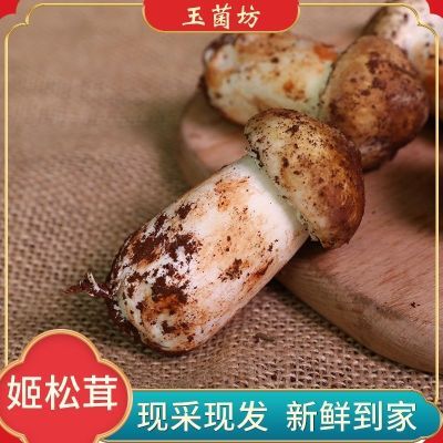 云南特产新鲜姬松茸赤松茸大果香格里拉鲜活散装当季顺丰包邮煲汤