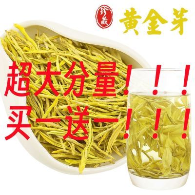 【买一送一】特级黄金芽茶叶2023新茶春茶高档白茶正宗绿茶浓香型