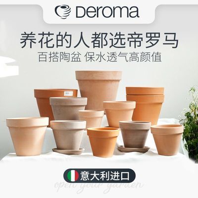 DEROMA帝罗马花盆进口多肉红陶土土陶透气透水耐低温家用可